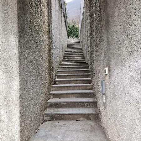 Incanto فيلة